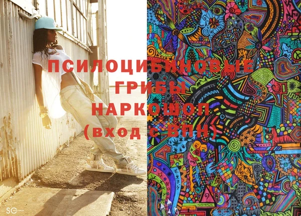ПСИЛОЦИБИНОВЫЕ ГРИБЫ Алексеевка